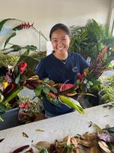 Making Lei while the Sun Shines