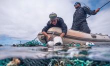 Ocean Voyages Institute cleans up